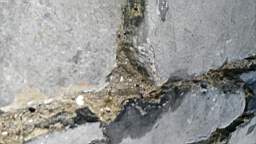 acastle
                          104765.jpg